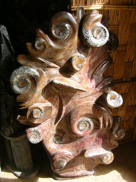 fossili di Erfoud