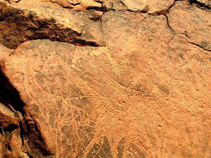Acacus: graffito rupestre di giraffe