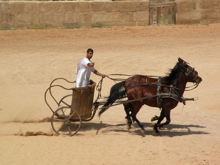 corsa delle bighe
