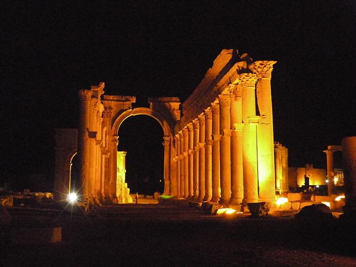 Palmira di notte