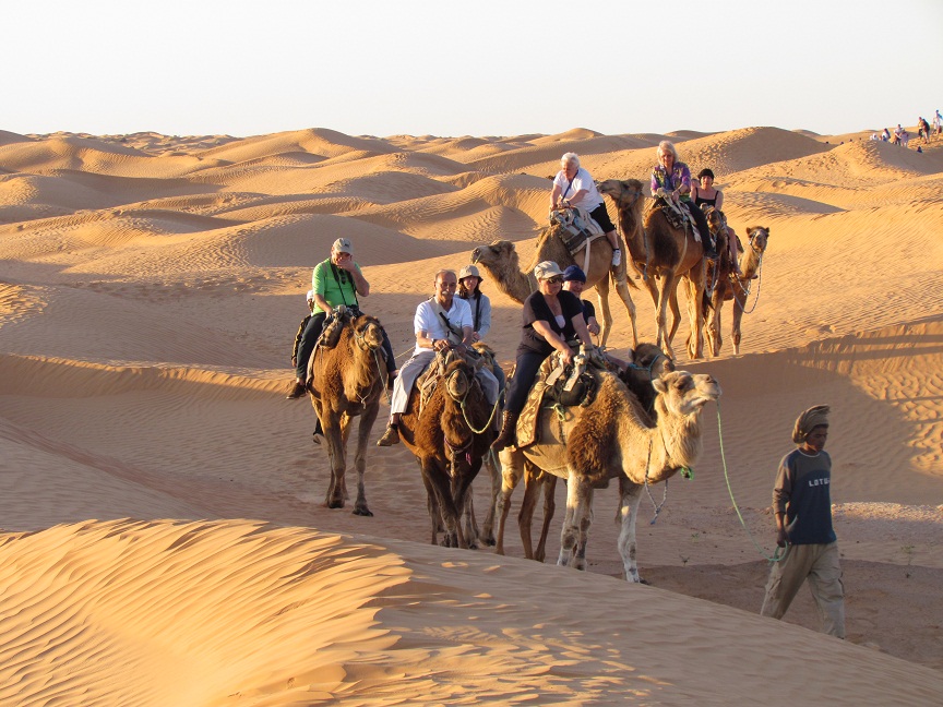 Dromedari a Ksar Ghilane