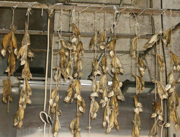 Pesci al mercato di Istanbul
