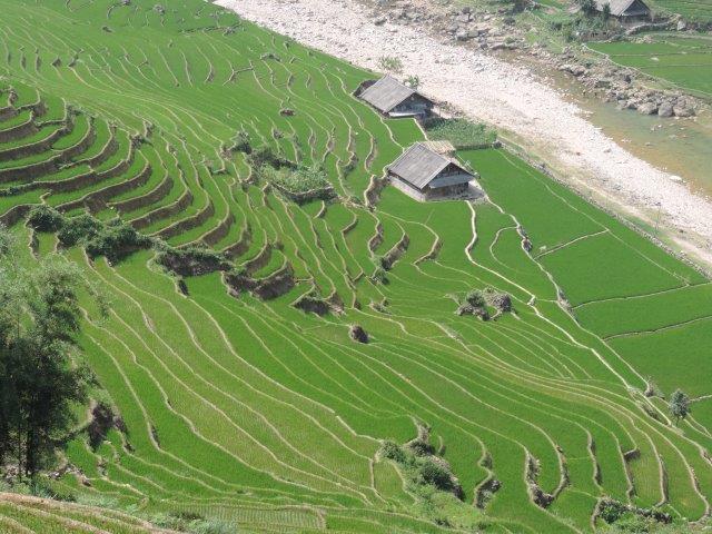 terrazzamenti in vietnam
