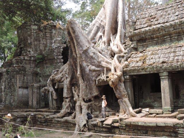 Tempio ad Angkor Vat