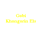 Casella di testo: Gobi
Khongorin Els
