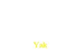 Casella di testo: Yak
