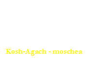Casella di testo: Kosh-Agach - moschea

