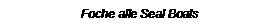Casella di testo: Foche alle Seal Boats